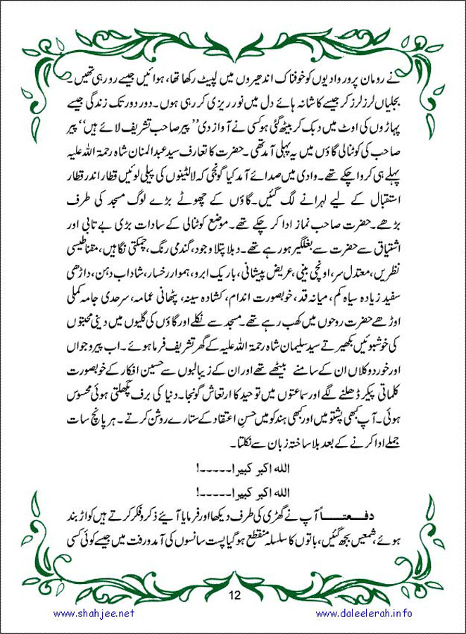 sanable_noor_Page_013