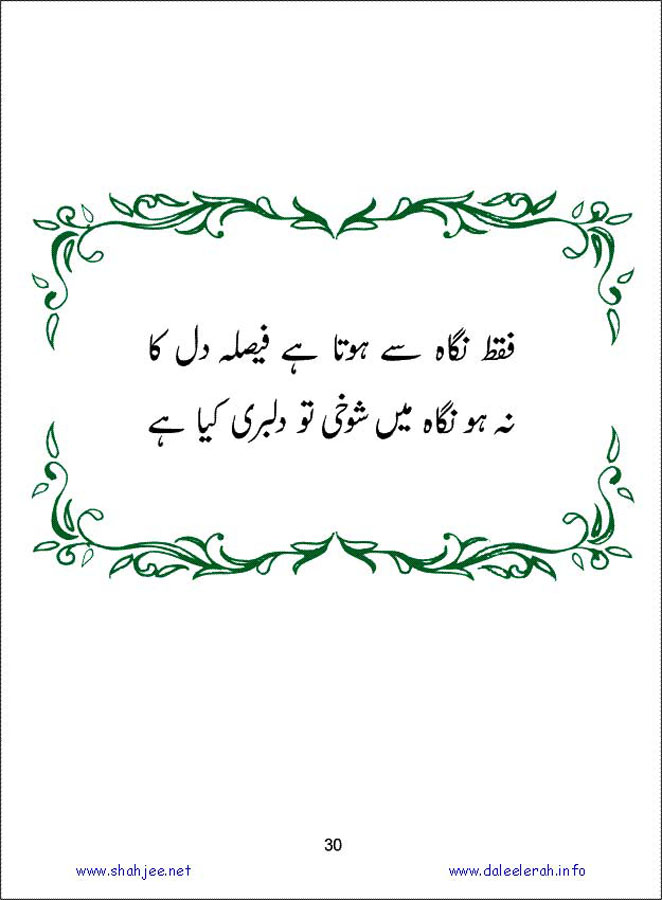 sanable_noor_Page_031