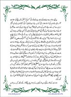 sanable_noor_Page_012