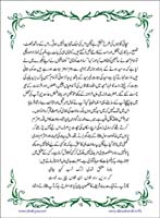 sanable_noor_Page_016