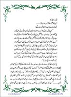 sanable_noor_Page_028