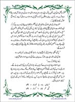 sanable_noor_Page_029