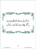 sanable_noor_Page_034