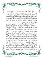 sanable_noor_Page_035