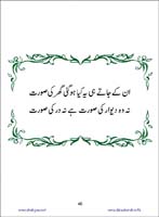 sanable_noor_Page_041