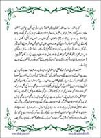 sanable_noor_Page_042