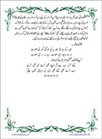 sanable_noor_Page_044
