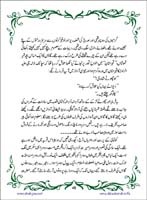 sanable_noor_Page_049