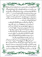 sanable_noor_Page_050