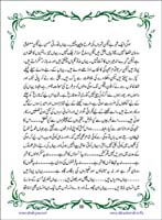 sanable_noor_Page_057