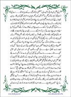 sanable_noor_Page_058