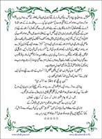 sanable_noor_Page_066