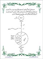 sanable_noor_Page_087
