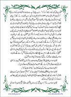 sanable_noor_Page_093