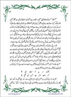 sanable_noor_Page_117