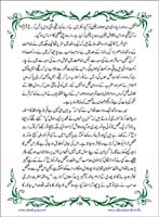 sanable_noor_Page_131