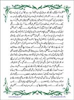 sanable_noor_Page_135