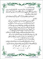 sanable_noor_Page_163