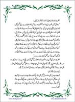 sanable_noor_Page_169