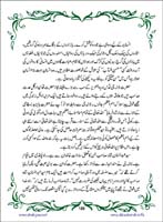 sanable_noor_Page_189