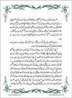 sanable_noor_Page_197