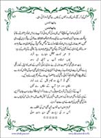 sanable_noor_Page_203